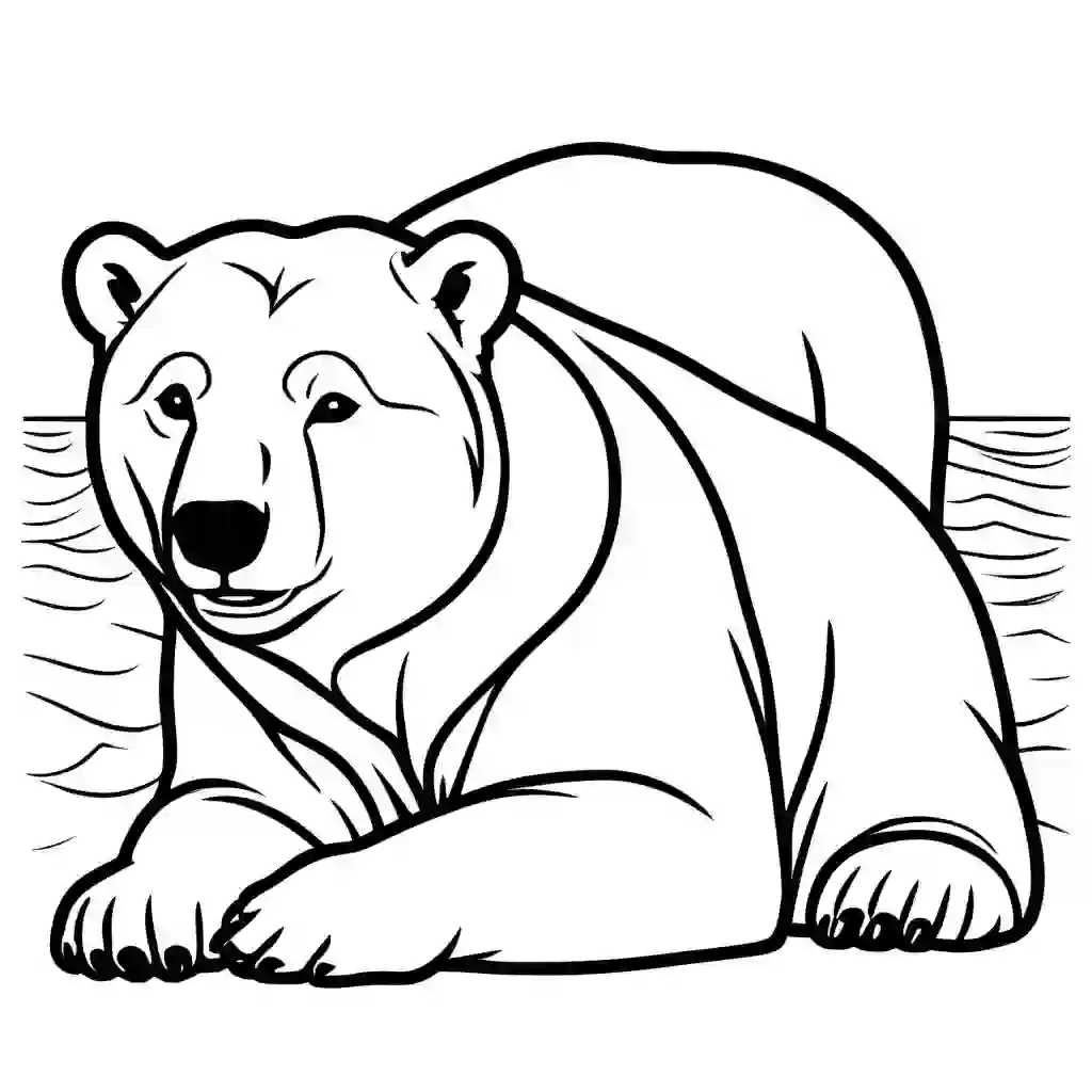 Zoo Animals_Polar Bears_4368_.webp